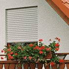 Roka-Top  ���;���������